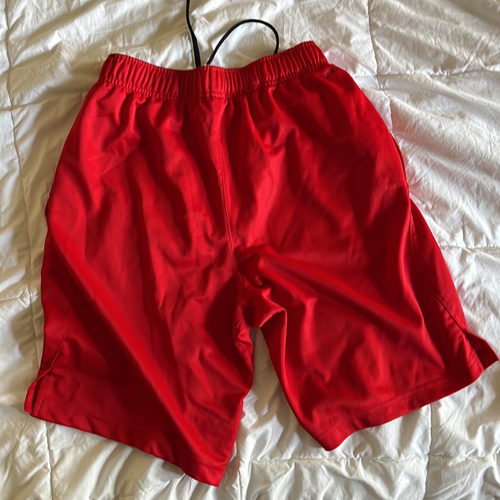 Shorts - Picture 2 of 3